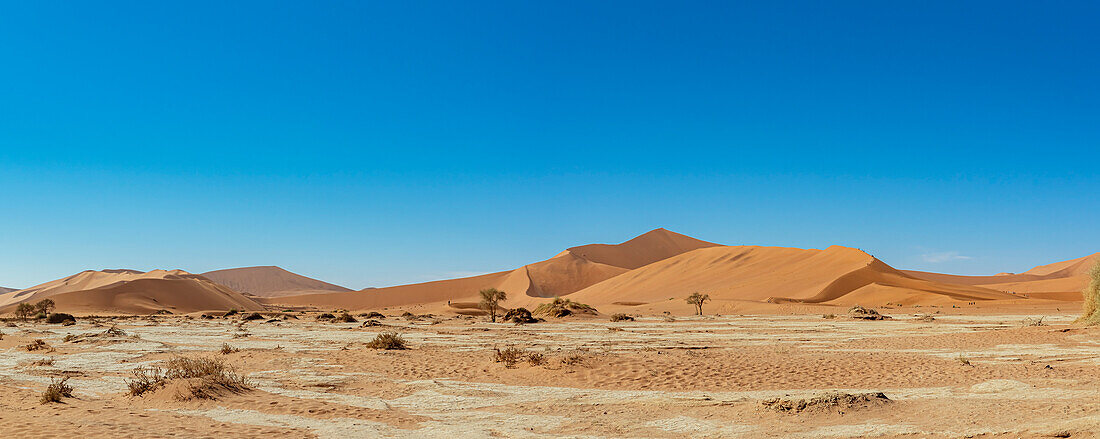 Sand dunes near Deadvlei, Namib Desert; Namibia