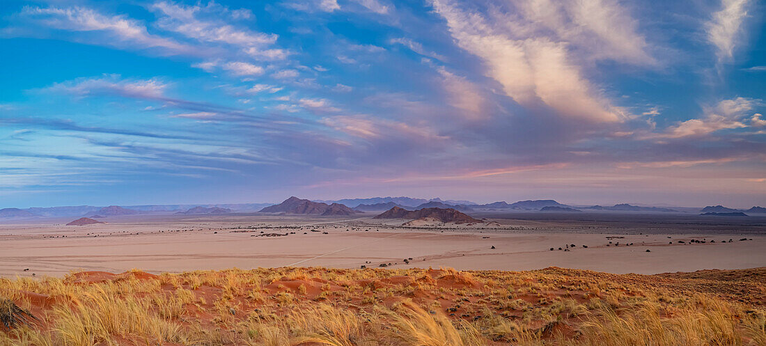 Elim dune, Sesriem, Namib-Naukluft National Park, Namib Desert; Namibia