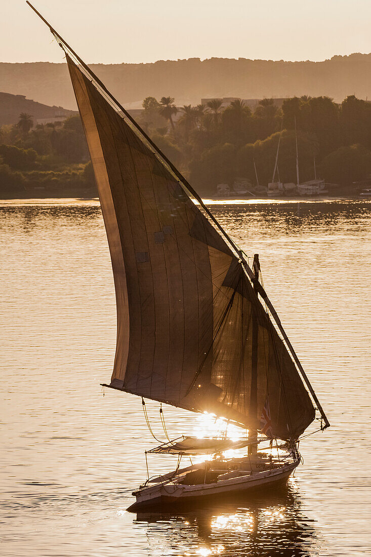 Feluke auf dem Nil bei Sonnenuntergang; Assuan, Ägypten