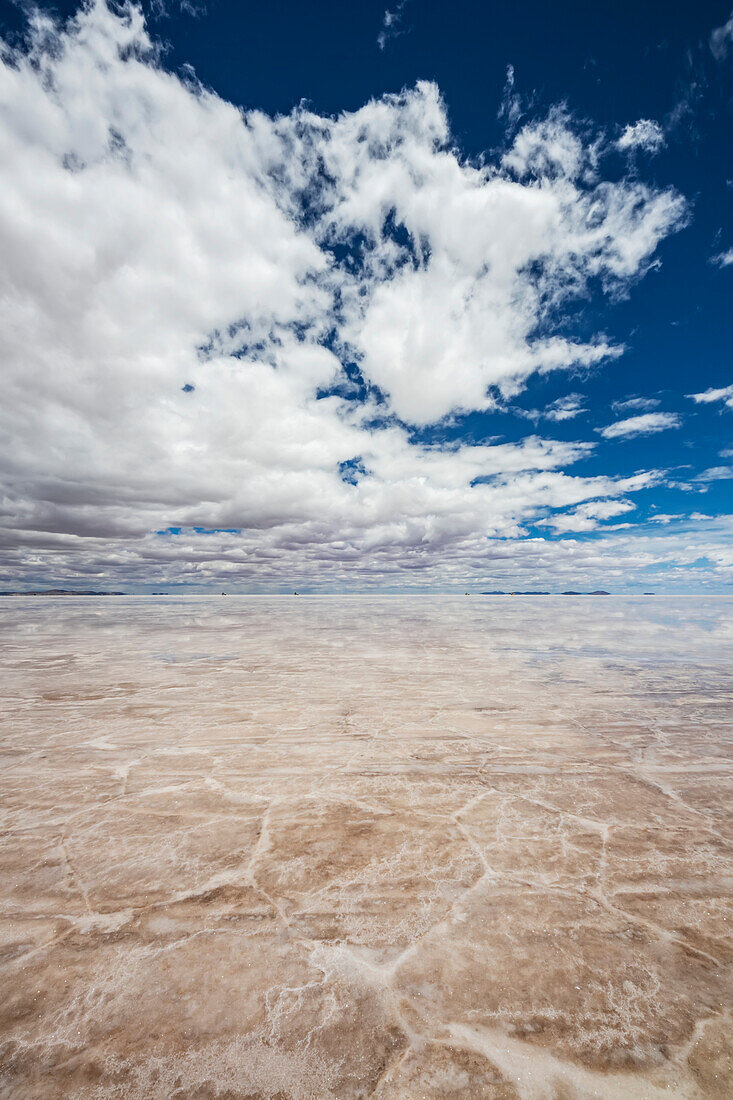 Reflection during the wet season (December-February) in Salar de Uyuni, the world's largest salt flat; Potosi Department, Bolivia