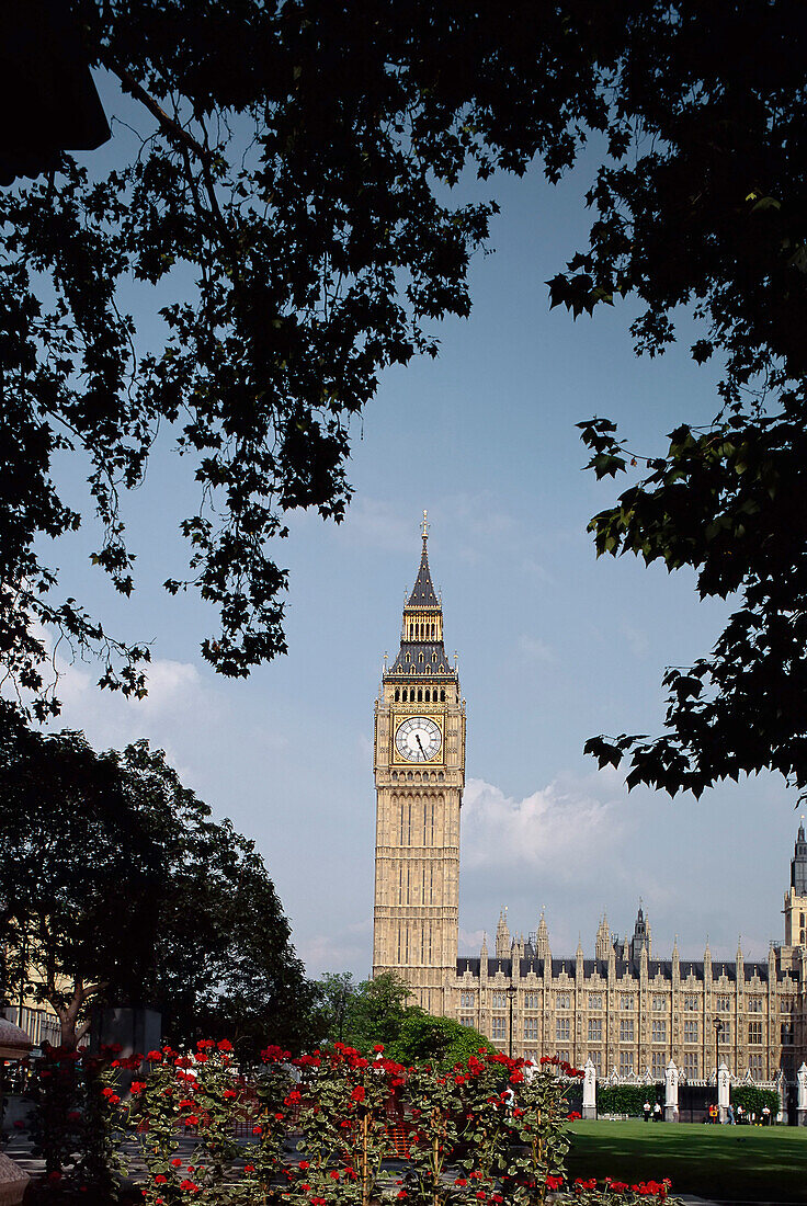 Big Ben and Houses of Parliament London, England