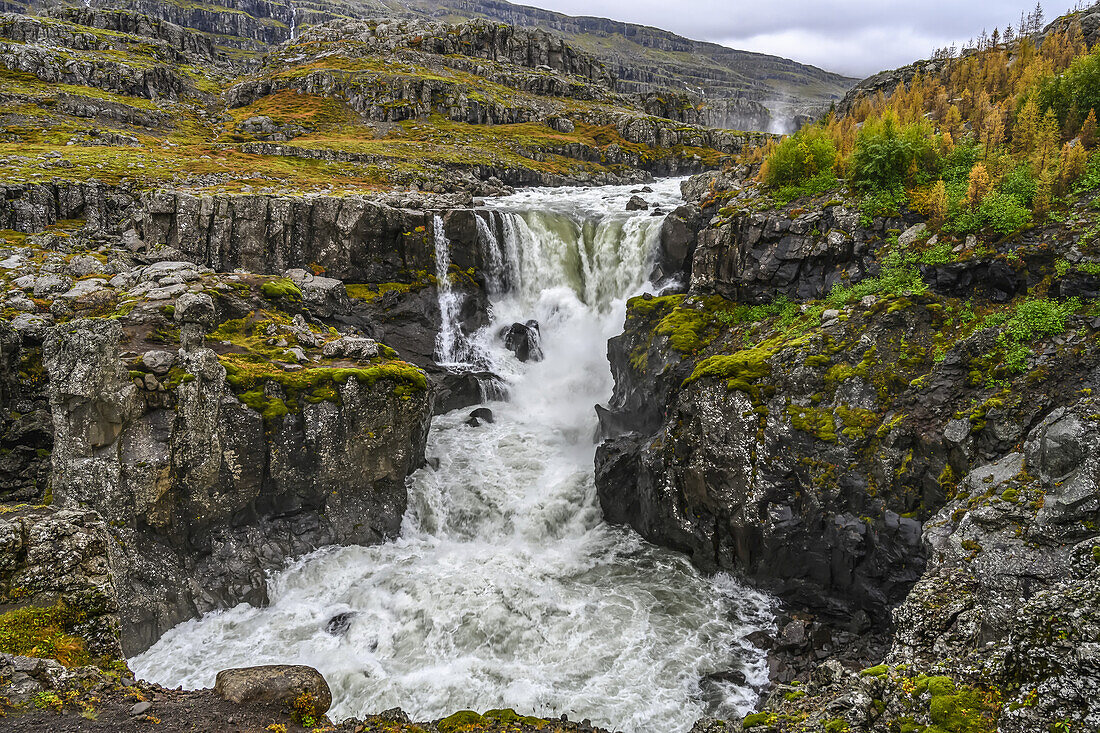 Wasserfall und reißender Fluss in einer zerklüfteten Landschaft in Ostisland; Djupivogur, Ostregion, Island