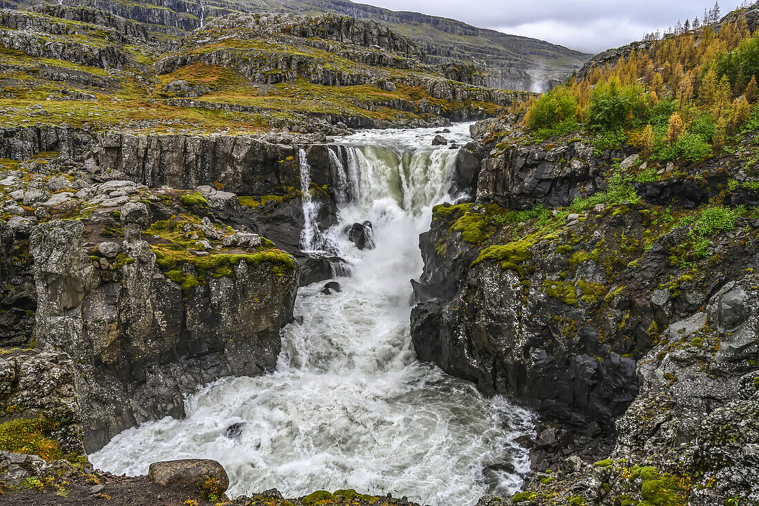 Waterfall and rushing river on a rugged landscape in Eastern Iceland; Djupivogur, Eastern Region, Iceland