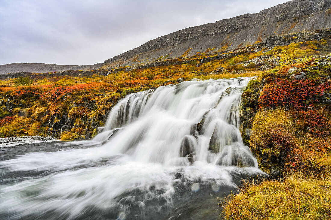 Dynjandi (auch als Fjallfoss bekannt) ist eine Reihe von Wasserfällen in den Westfjorden, Island. Die Wasserfälle haben eine Gesamthöhe von 100 Metern; Isafjaroarbaer, Westfjorde, Island