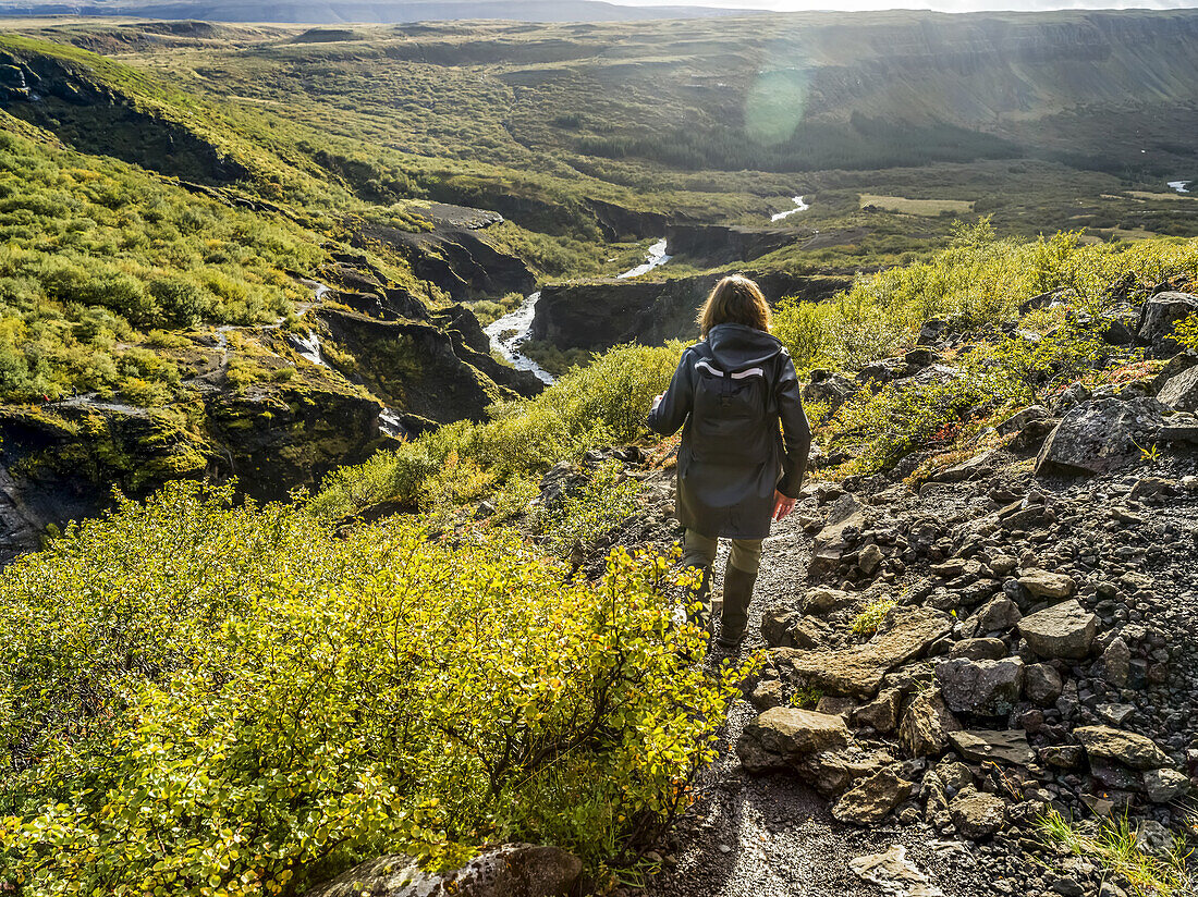 A woman walking at the Glymur hiking trail. Glymur is the second-highest waterfall in Iceland, with a cascade of 198 metres; Hvalfjardarsveit, Capital Region, Iceland