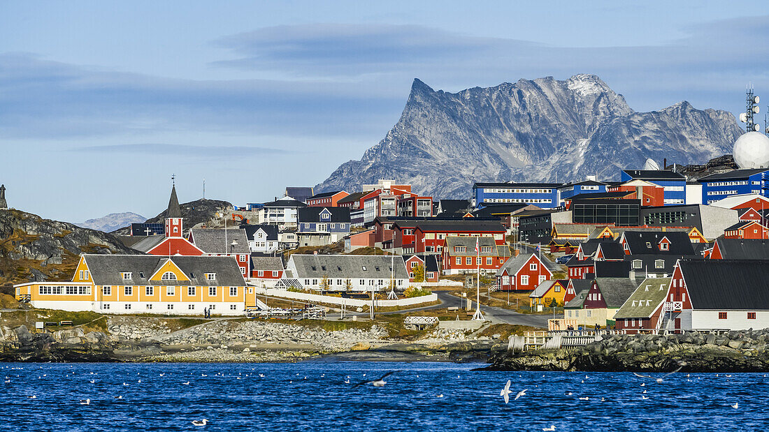 Colourful houses along the rocky shore of Nuuk; Nuuk, Sermersooq, Greenland