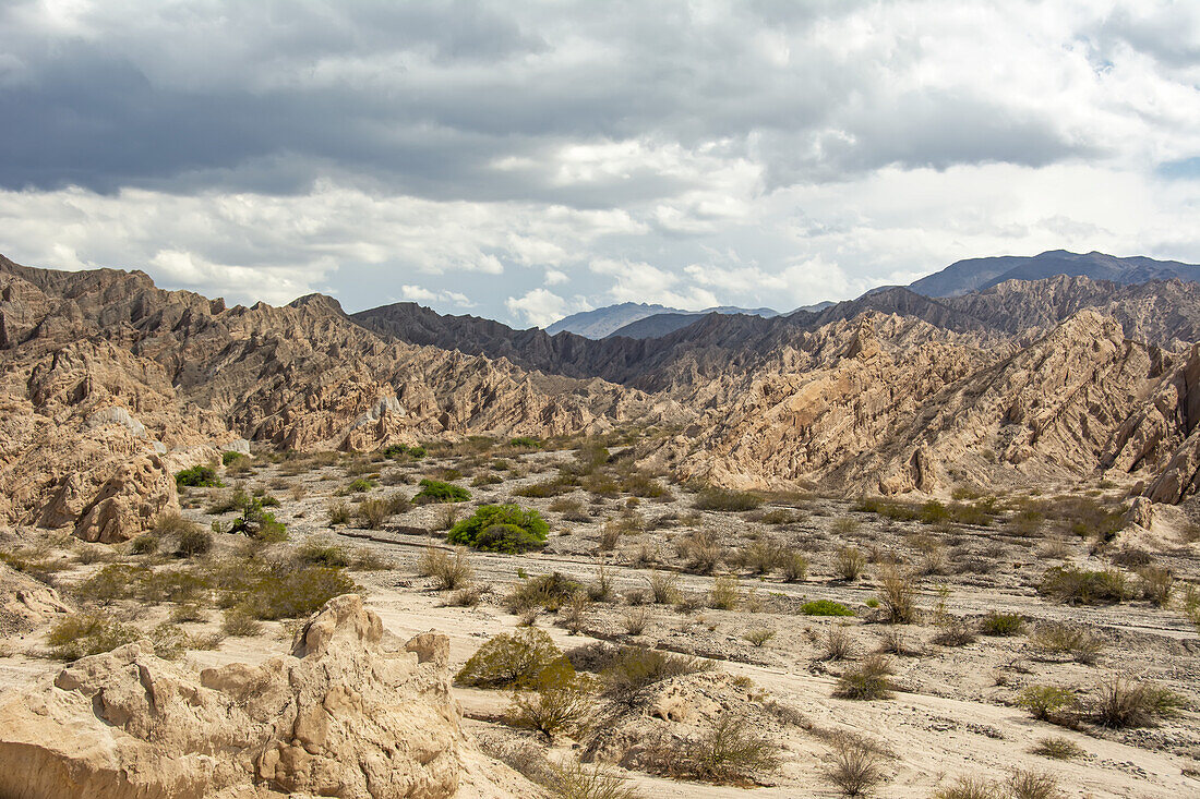 Desert valley among unique rock formations; Cafayate, Salta, Argentina