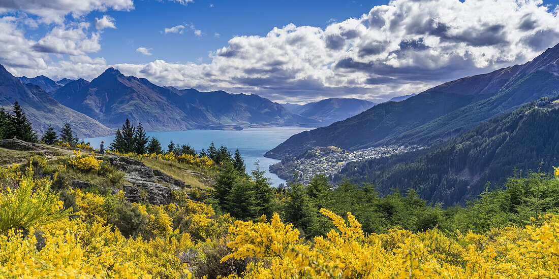 Blick auf den Lake Wakatipu und die Umgebung entlang des Queenstown Hill Walkway bei Te Tapu-nui; Queenstown, Südinsel, Neuseeland.