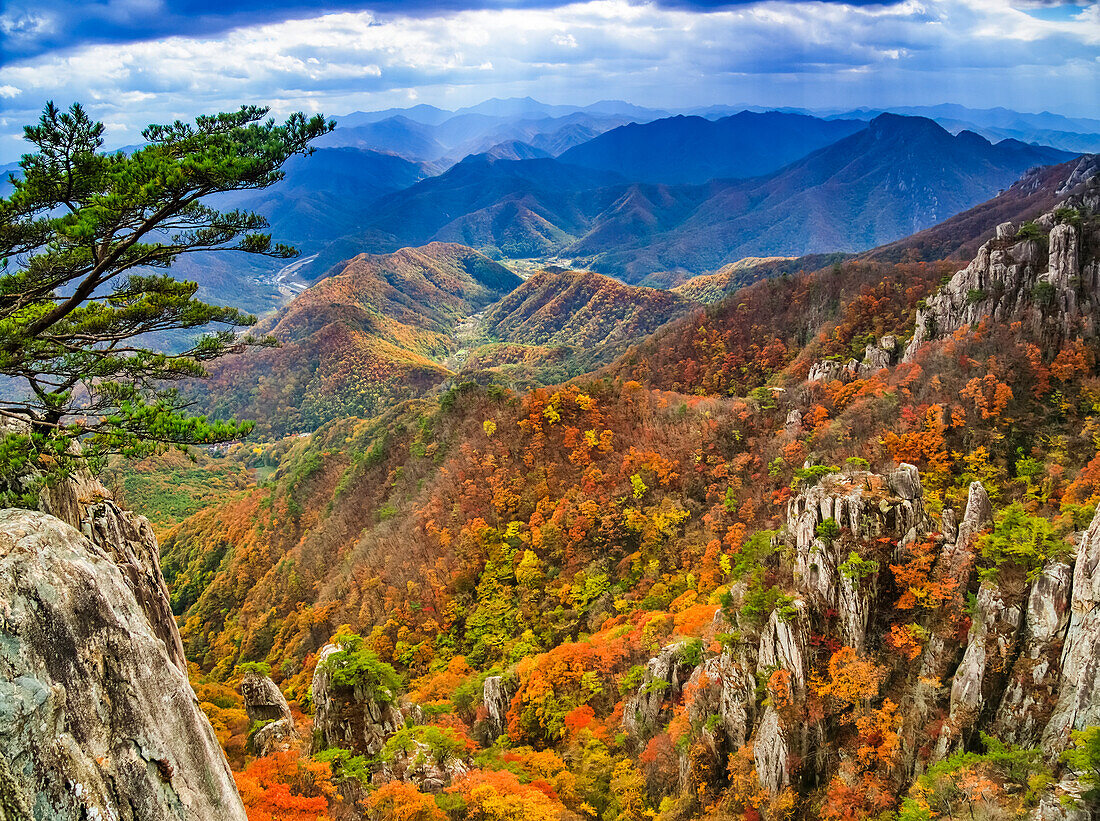 Strahlende Herbstfarben auf den Berggipfeln im Daedunsan Provinicial Park, Südkorea, einem beliebten Herbstziel für Wanderer; Jeonbuk, Republik Korea.