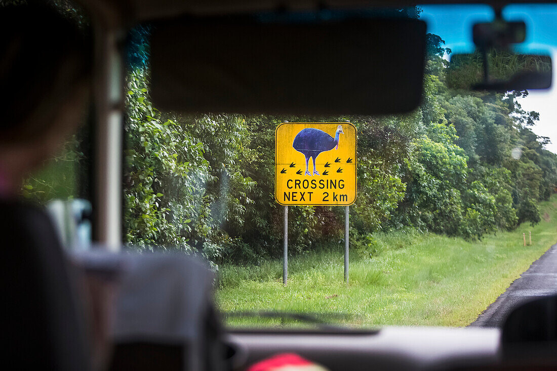 The rainforest around Mission Beach is known as a Cassowary Reserve. Frequent road signs warn drivers of the danger of the endangered bird crossing the road; Queensland, Australia