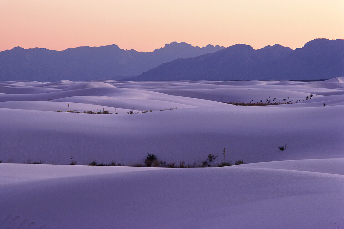 White Sands Neu-Mexiko, USA