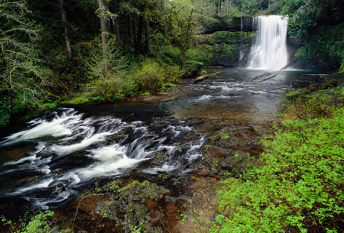 Silver Falls State Park Oregon, USA