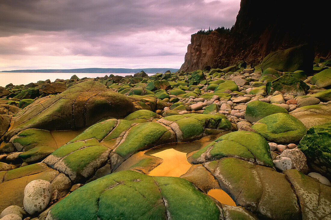 Cape d'Or Bay of Fundy, Nova Scotia, Canada