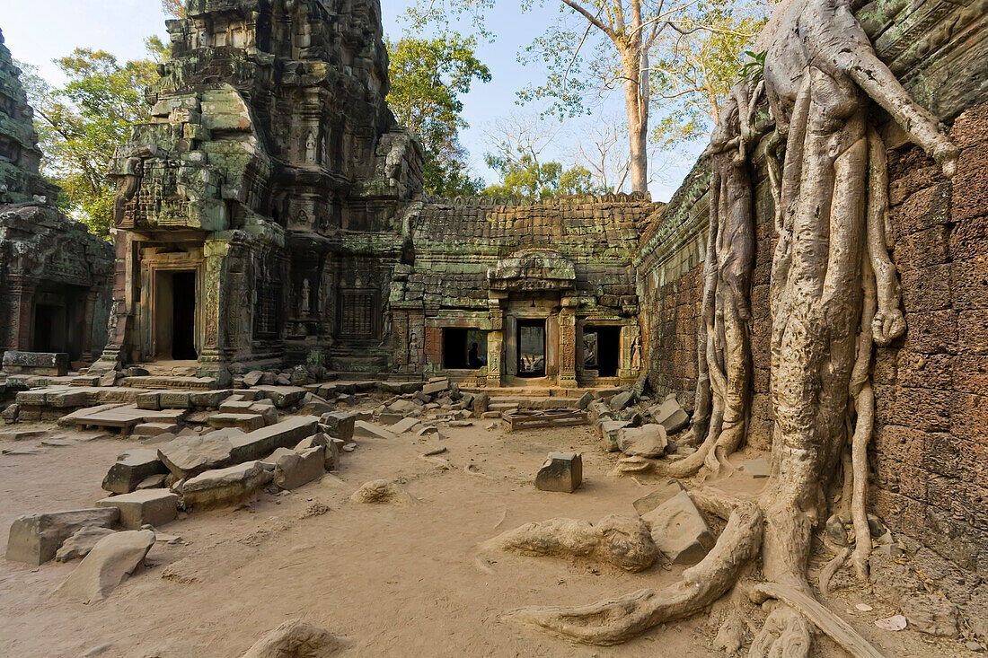 Khmer-Tempel aus dem 12. bis 13. Jahrhundert in Ta Prohm, Angkor, Kambodscha