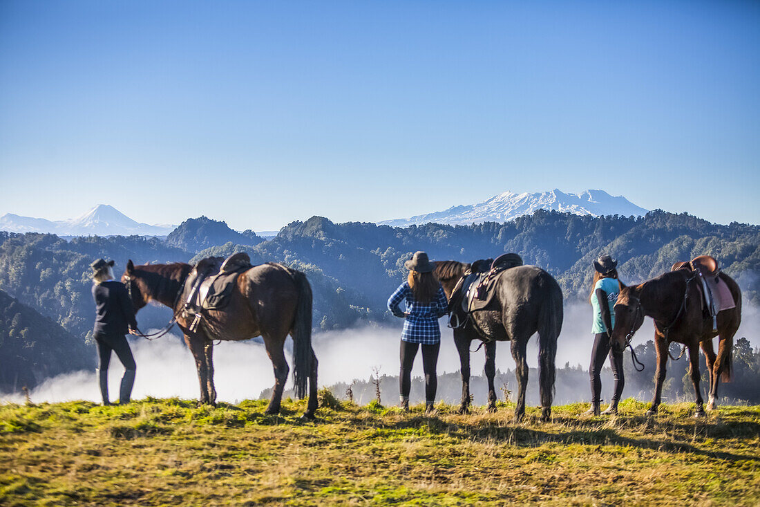 The Blue Duck lodge located in the Whanganui National Park is a working cattle farm with a focus on conservation. Travelers take horses to a scenic viewpoint to watch the sunrise over the rainforest; Retaruke, Manawatu-Wanganui, New Zealand