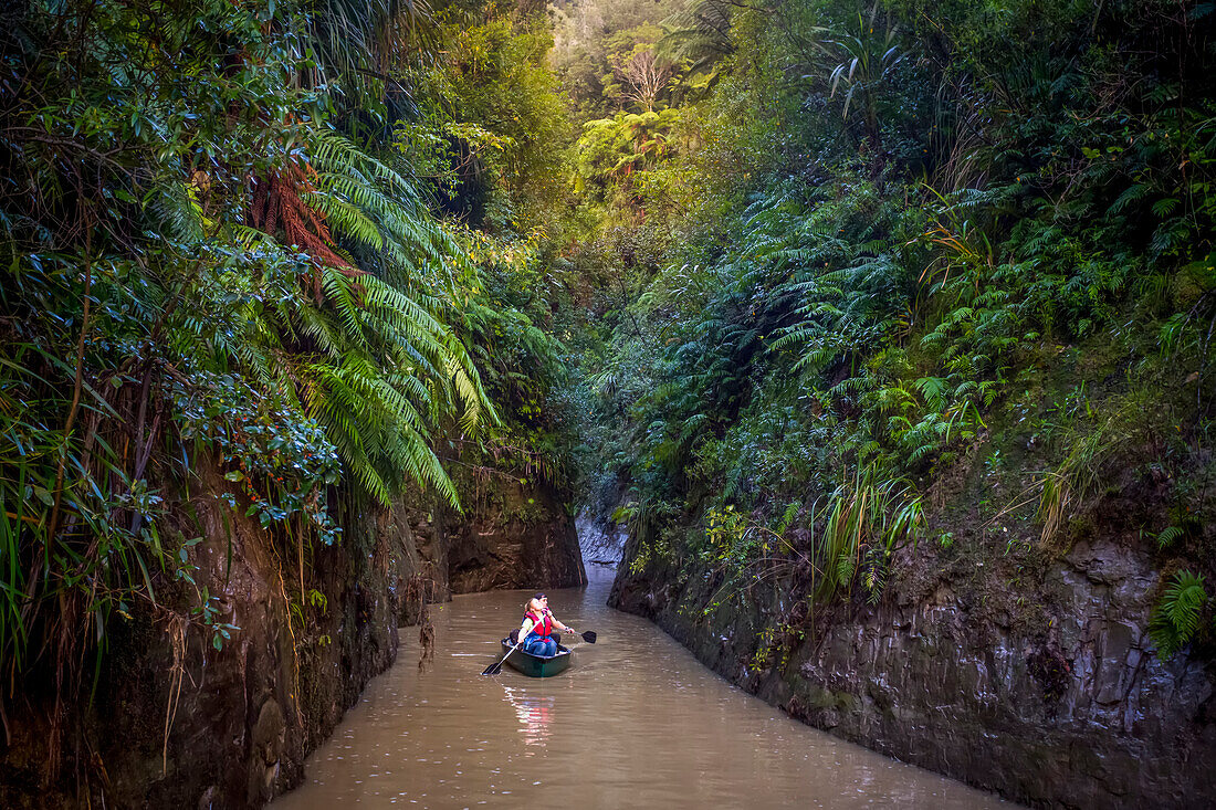 The Blue Duck lodge located in the Whanganui National Park is a working cattle farm with a focus on conservation. Kayaking down river through the beautiful rainforest; Retaruke, Manawatu-Wanganui, New Zealand