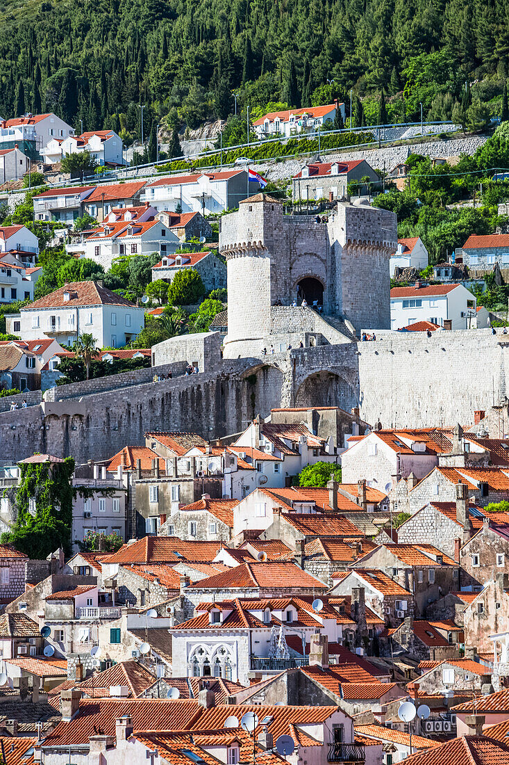 The Walls of Dubrovnik surround the old city and provide stunning vantage points of the city; Dubrovnik, Dubrovnik-Neretva County (Dubrova?ko-neretvanska županija), Croatia