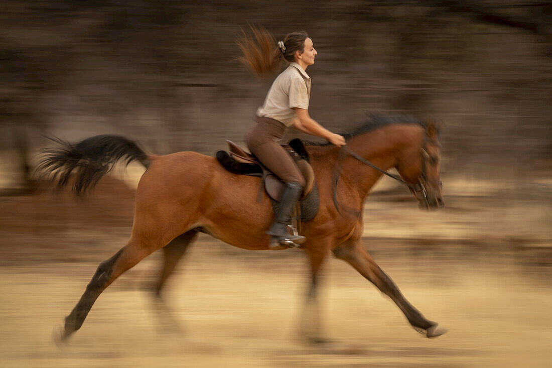 Frau reitet Pferd (Equus ferus caballus) durch den Wald in der Savanne auf der Gabus Game Ranch; Otavi, Otjozondjupa, Namibia.