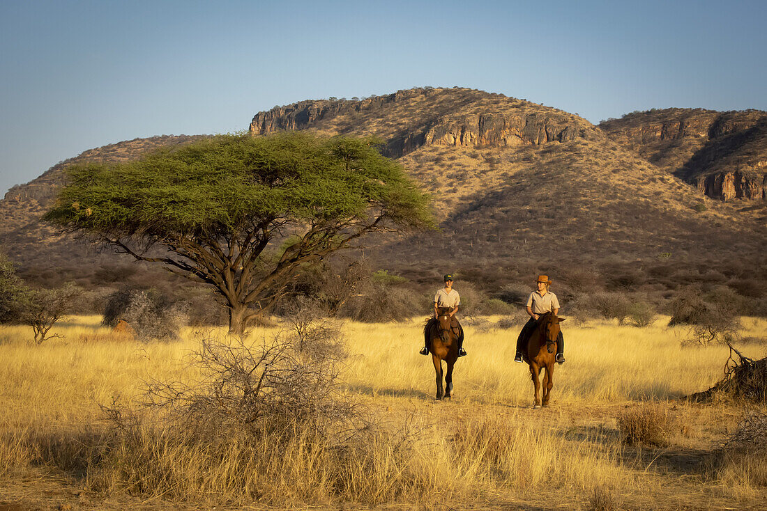 Zwei Frauen auf Pferden (Equus ferus caballus) reiten an Akazienbäumen vorbei durch den Busch auf der Gabus Game Ranch mit Bergen im Hintergrund bei Sonnenuntergang; Otavi, Otjozondjupa, Namibia.