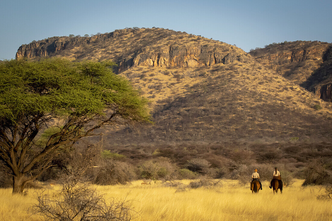 Blick von hinten auf zwei Frauen auf Pferden (Equus ferus caballus), die an Akazienbäumen vorbei durch den Busch in Richtung der Hügel der Gabus Game Ranch bei Sonnenuntergang reiten; Otavi, Otjozondjupa, Namibia