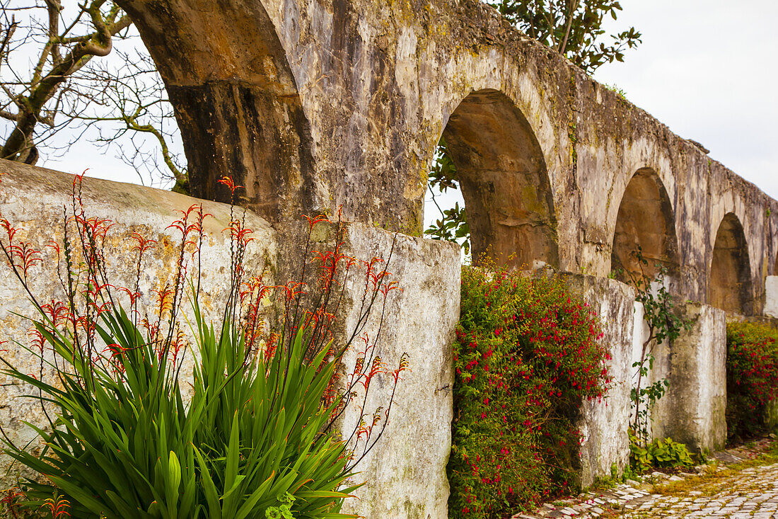 Alte, gewölbte Steinmauern mit blühenden Pflanzen entlang einer Kopfsteinpflasterstraße in der mittelalterlichen Stadt Obidos; Obidos, Estremadura, Oeste Region, Portugal