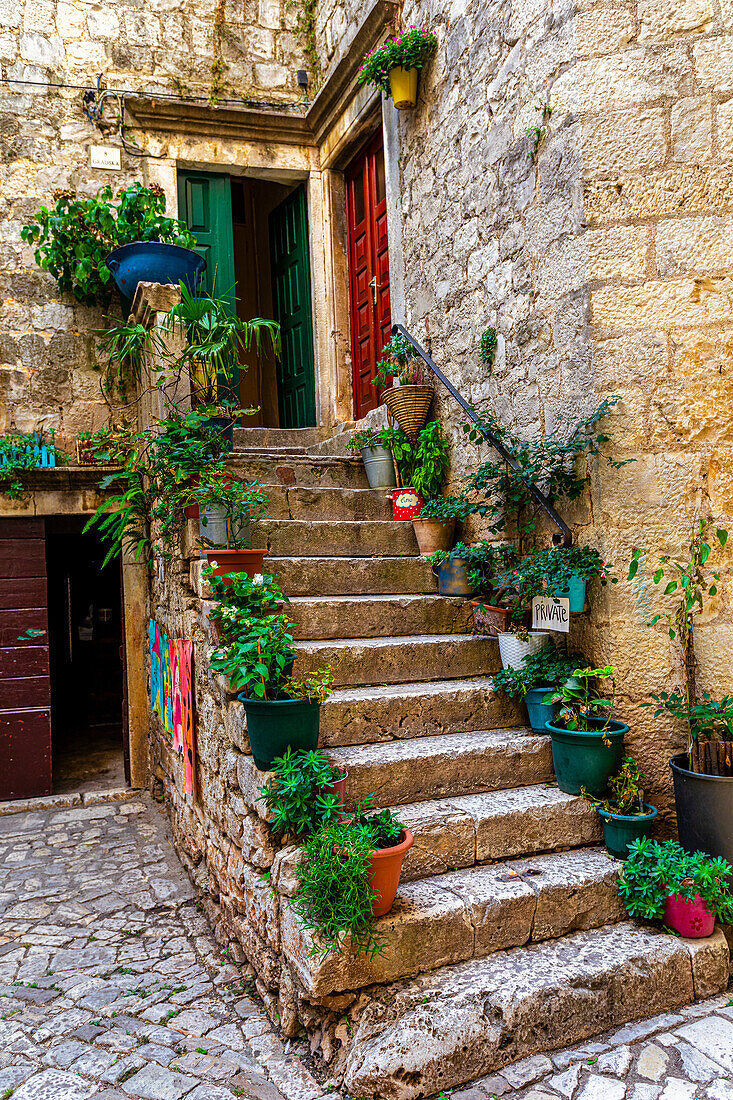 Old stone building with stairs lined with potted plants leading to the doorways of residential apartments in the medieval island town of Trogir; Trogir, Croatia