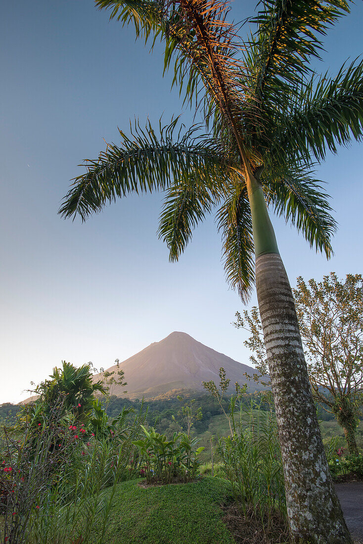 Sonnenaufgang über dem Vulkan Arenal, einem aktiven Stratovulkan, der sich über einem nahe gelegenen tropischen Garten erhebt; Provinz Alajuela, Costa Rica.