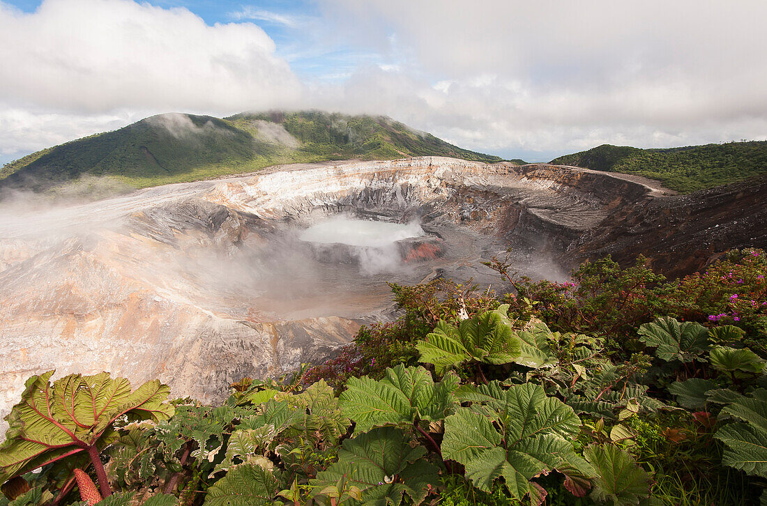 Rauchschwaden, die aus dem Krater auf dem Gipfel des Vulkans Poas, einem aktiven Stratovulkan im Nationalpark Poas Volcano, austreten; Provinz Alajuela, Costa Rica.