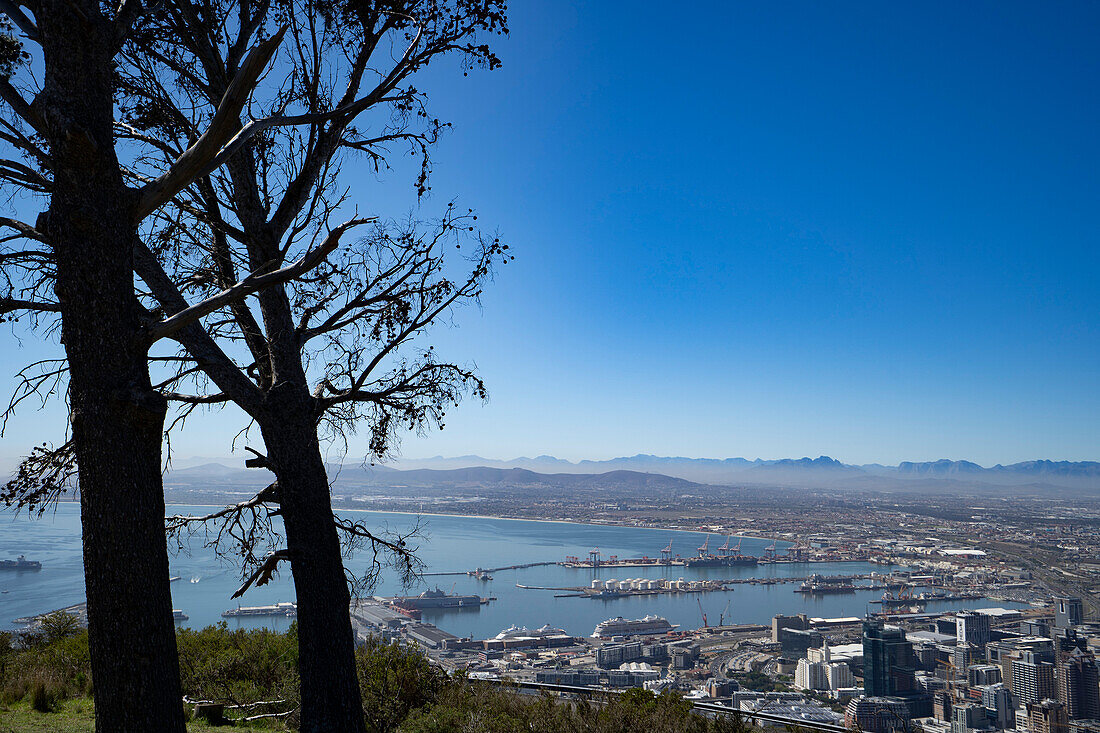 Blick vom Signal Hill Park auf den Hafen von Kapstadt mit seinen geschäftigen Hafenanlagen und Handelsdocks; Kapstadt, Kapprovinz, Südafrika.