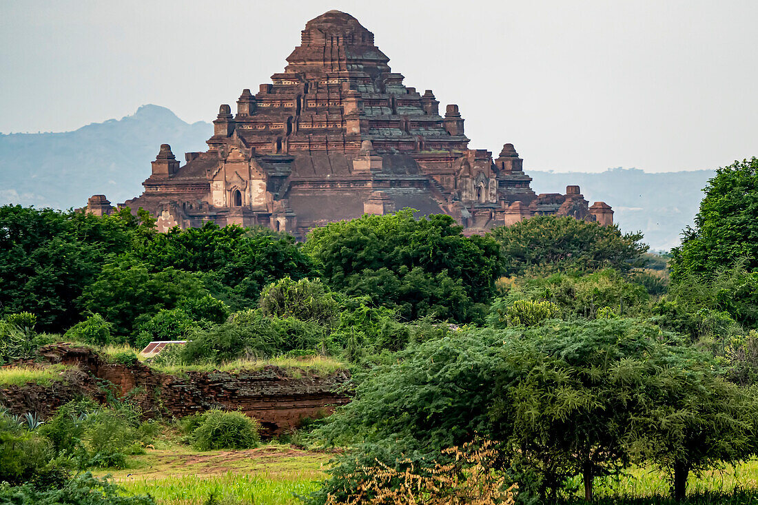 Morgenlicht über dem Dhammayan Gyi-Tempel, dem größten Tempel der Bagan-Ebene; Bagan, Mandalay, Myanmar (Burma)