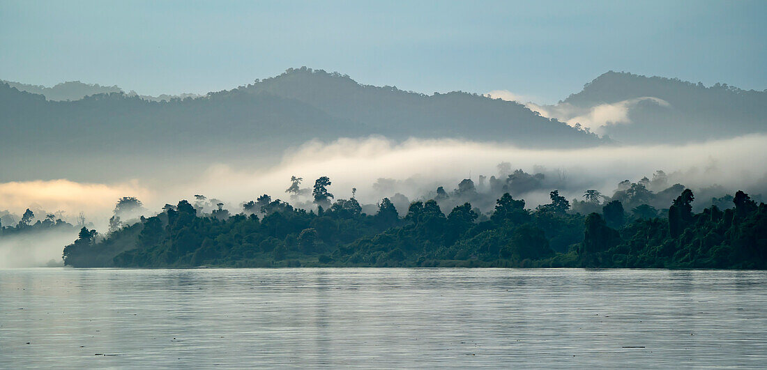 Morgennebel über den dschungelbedeckten Ufern des Ayeyarwady (Irrawaddy) Flusses in der Morgendämmerung; Ländlicher Dschungel, Kachin, Myanmar (Burma)