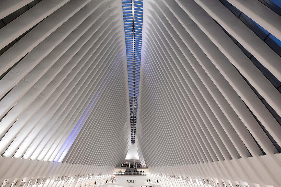 Innenansicht des Oculus, der Endstation des World Trade Centers, eines von Santiago Calatrava entworfenen Verkehrs- und Einkaufszentrums, das einer fliegenden Taube ähnelt und dessen Stahlrippen eine Kuppel über der Haupthalle bilden; New York City, New York, Vereinigte Staaten von Amerika.