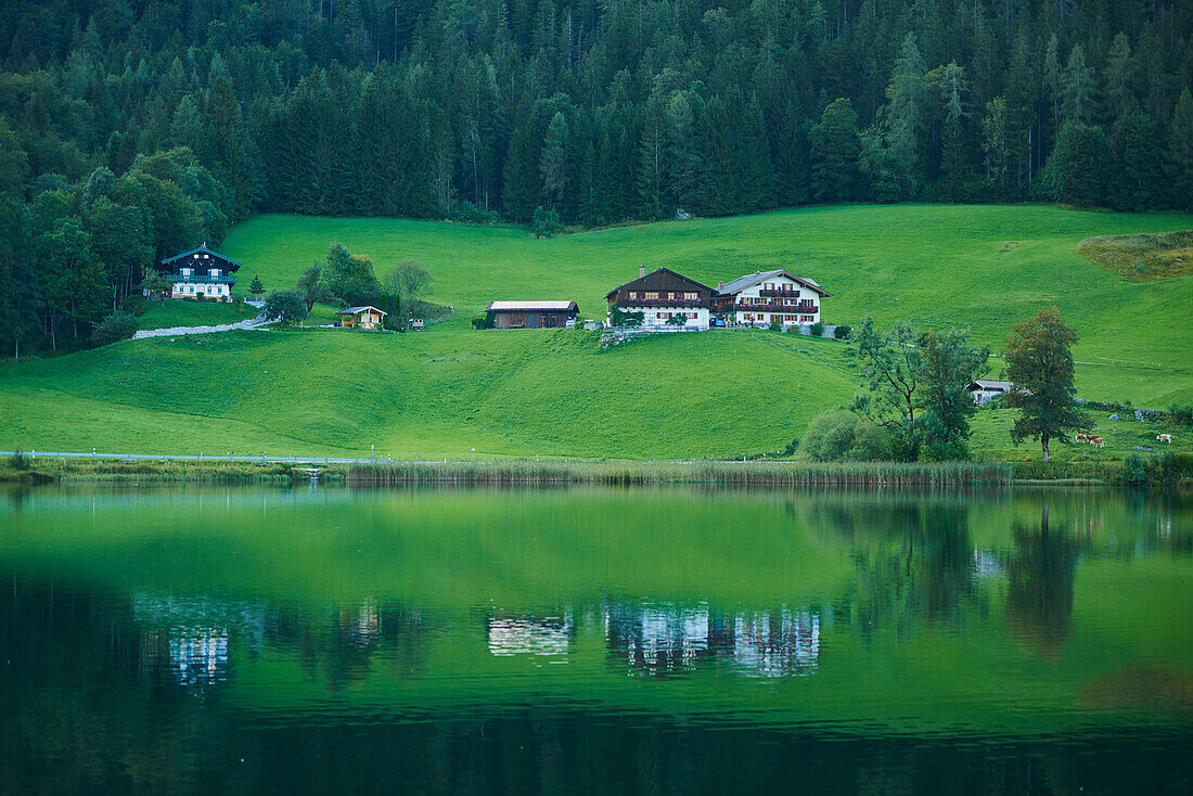 Bauernhäuser am grasbewachsenen Ufer des Hintersees in den Bayerischen Alpen; Berchtesgadener Land, Ramsau, Bayern, Deutschland.