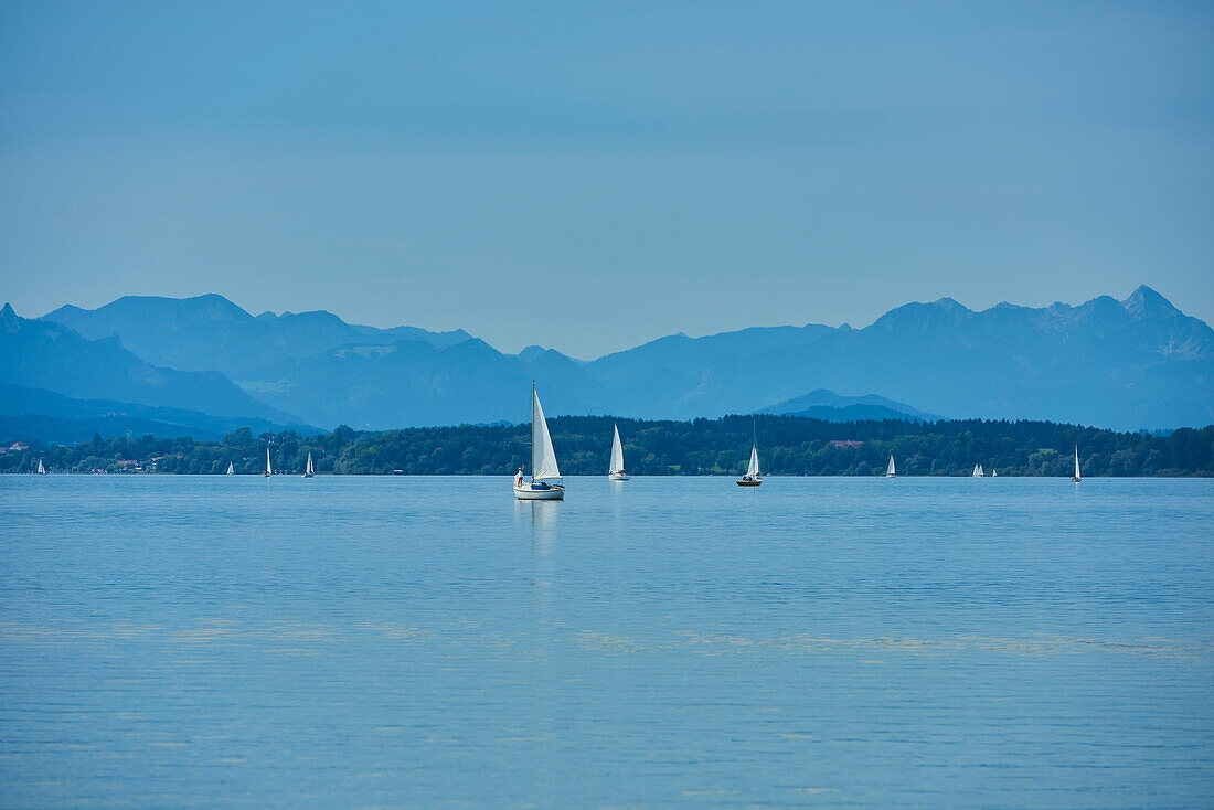 Segelboote auf dem Chiemsee an einem sonnigen Tag; Bayern, Deutschland