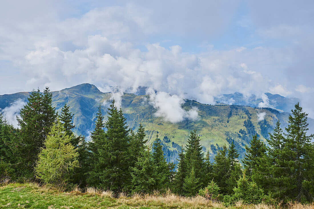 Blick von der Sch?ttenh?he mit Nadelbäumen und Wolken in den Bergen oberhalb von Zell am See, Kaprun; Bundesland Salzburg, Österreich