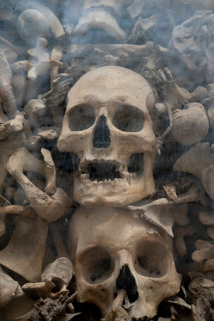 Nahaufnahme menschlicher Knochen und Schädel in den gläsernen Krypten der Märtyrerkapelle mit den sterblichen Überresten der Märtyrer aus Otranto in der Kathedrale Santa Maria dell'Acción; Otranto, Apulien, Italien.