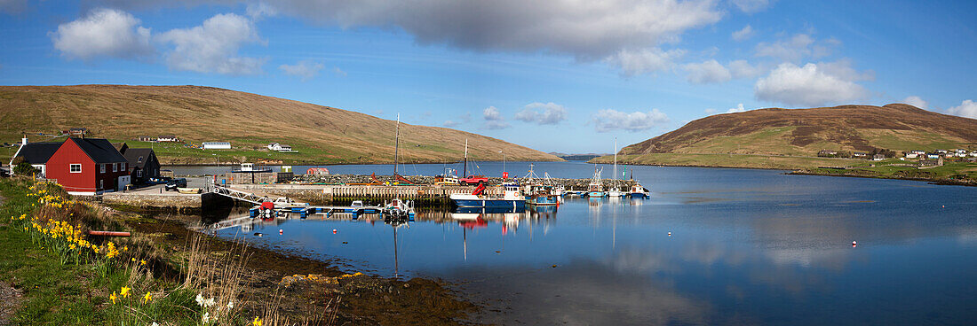 Boote im Hafen; Shetland Schottland