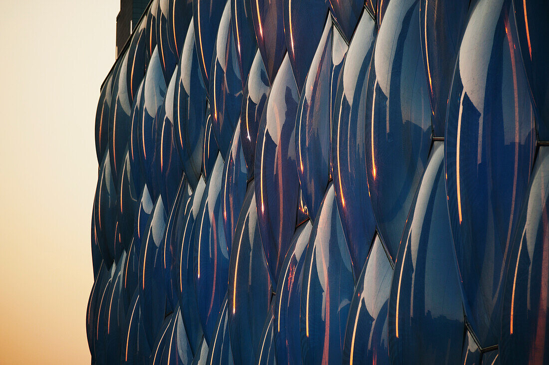 Exterior Detail Of National Aquatics Center Built For 2008 Summer Olympics; Beijing, China