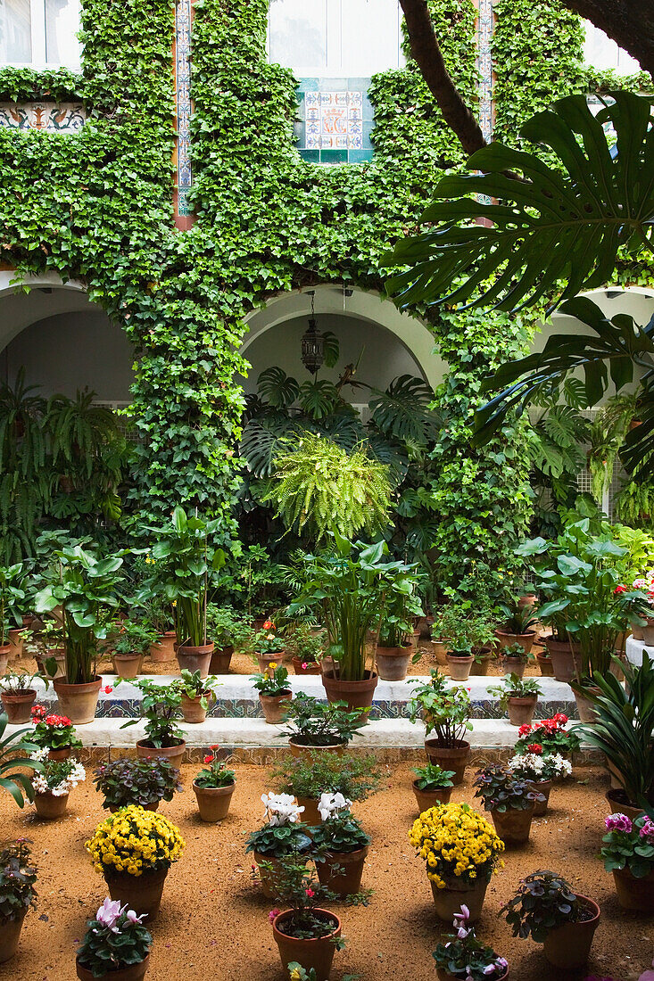 Blumentöpfe in einem Innenhof; Sevilla Andalusien Spanien