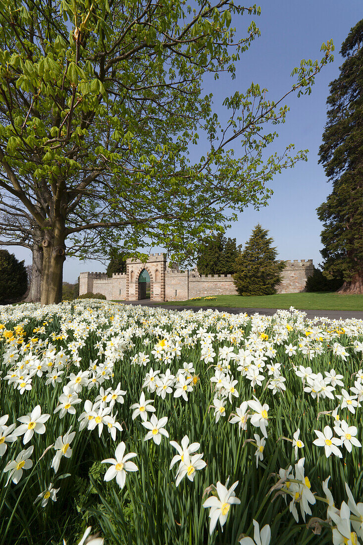 Blumen und das Eingangstor zu Ford Castle; Ford Northumberland England