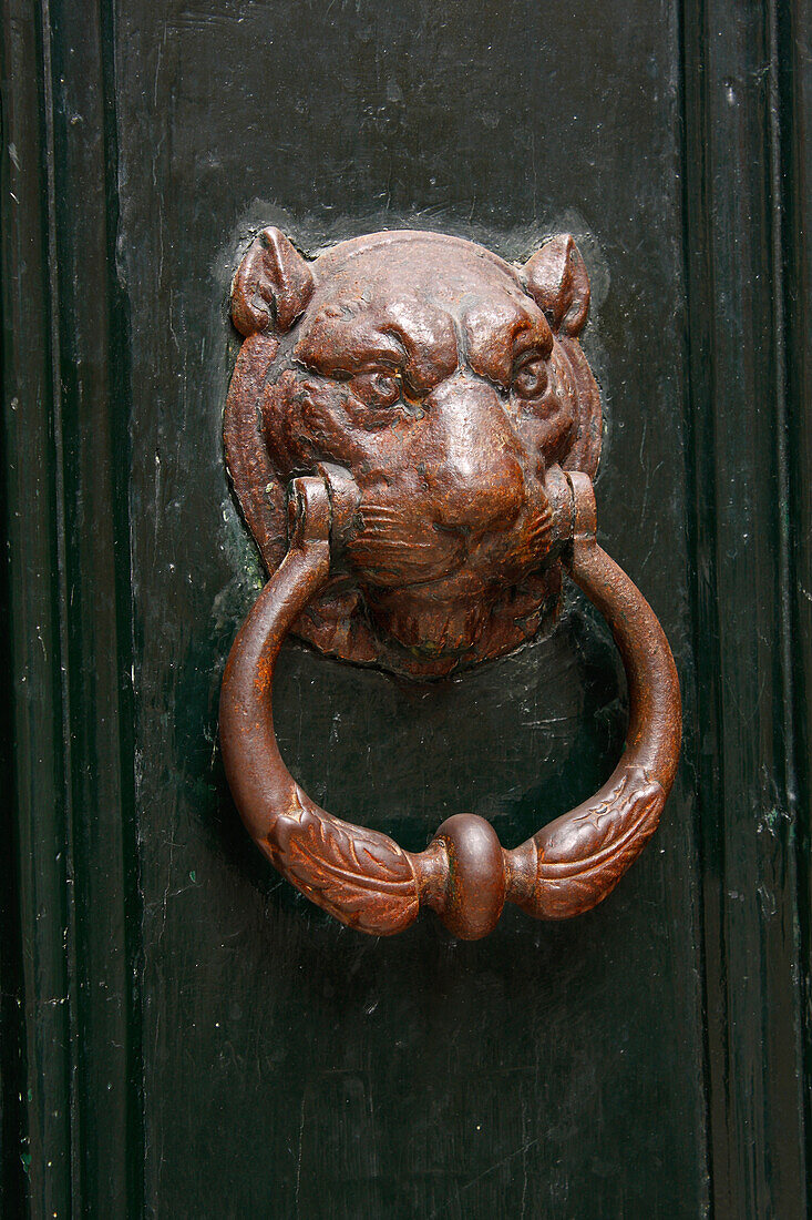 Big Cat Door Knocker In The Old Quarter Of Venice; Venice Veneto Italy