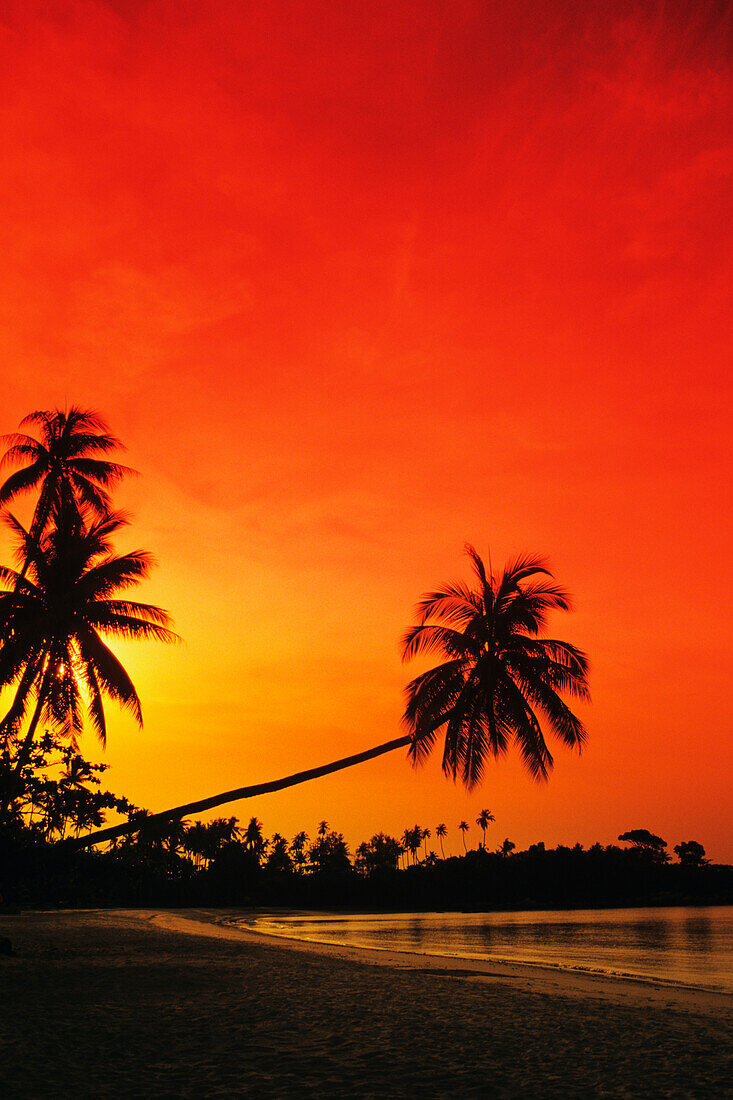 Indonesia, Tourist resort and beach at sunset; Bintan Island