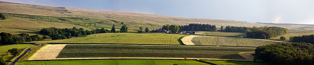 Landwirtschaftliche Felder; Northumberland England