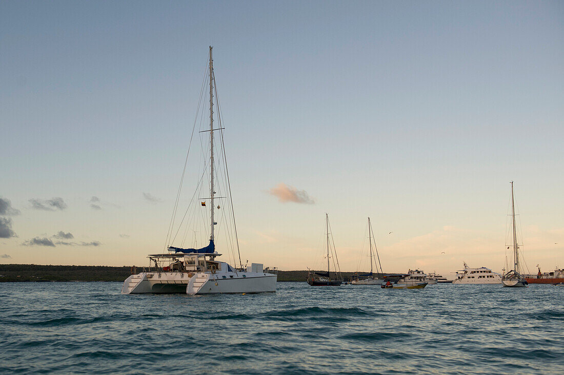 Boats In Puerto Ayora Harbor Off Santa Cruz Island At Dusk; Galapagos Equador