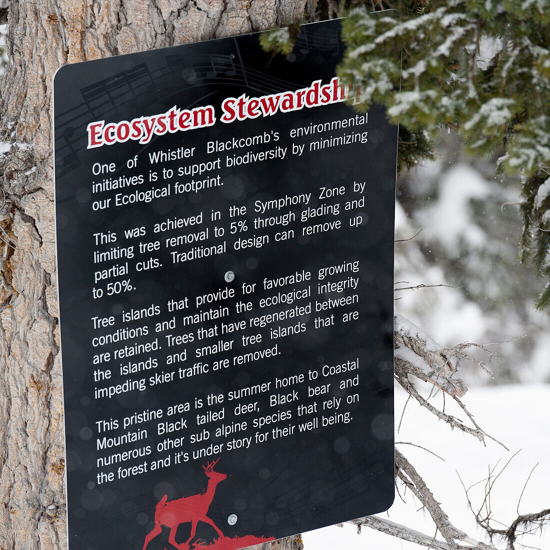 A Sign About Ecosystem Stewardship Posted On A Tree; Whistler British Columbia Canada