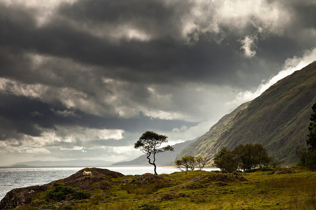 Sonnenlicht schimmert durch die Sturmwolken über dem Wasser entlang der Küste; Ardnamurchan Argyl Schottland