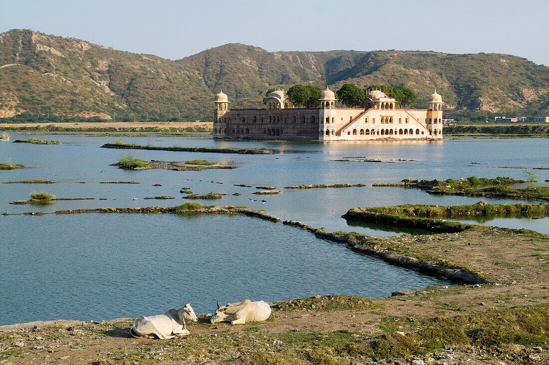 Indien, Rajasthan, Schöner und friedlicher Wasserpalast Jal Mahal am Man Sagar See; Jaipur.