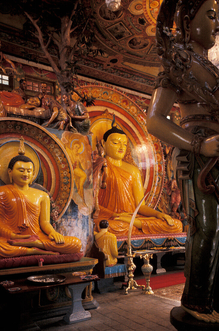 Sri Lanka, Colombo, Buddha-Statuen in Innenschreinen; Gangaramaya-Tempel