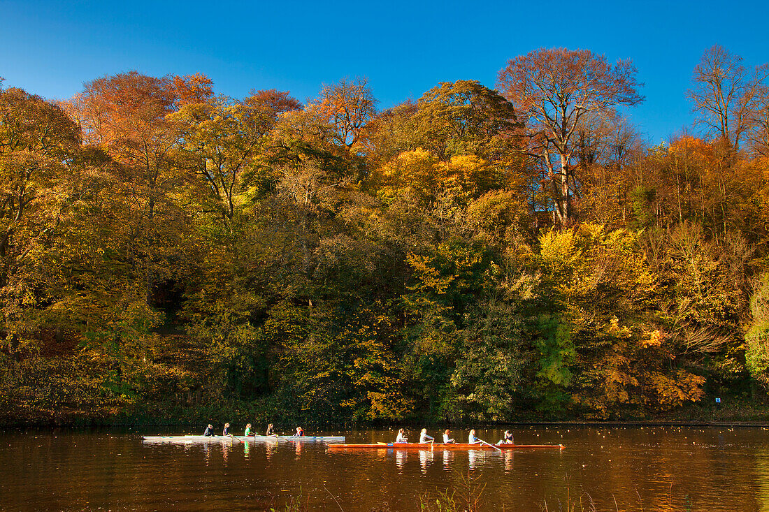 Rowers In Boats Travelling Down A Tranquil River In Autumn; Durham England