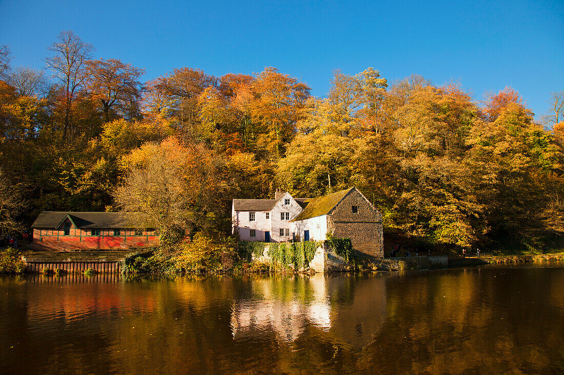 Häuser entlang des Flusses, die sich im Herbst im Wasser spiegeln; Durham England